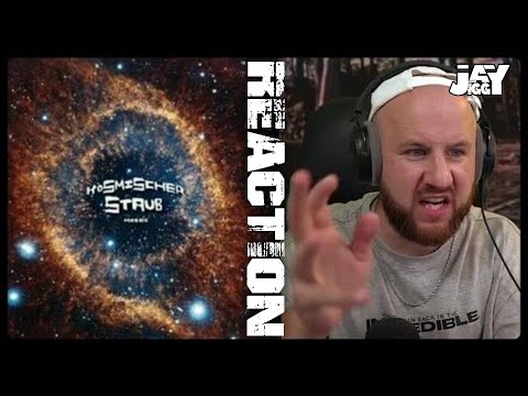 MiZeb - KOSMISCHER STAUB | REACTION