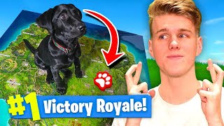 Using A PUPPY To WIN FORTNITE Battle Royale!
