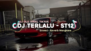 Download lagu DJ TERLALU - ST 12 SLOWED   REVERB MENGKANE VIRAL TIKTOK mp3