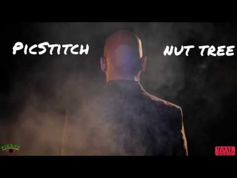 Nut Tree-PicStitch(Official Audio)