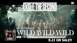 EXILE THE SECOND / 「WILD WILD WILD」TV SPOT