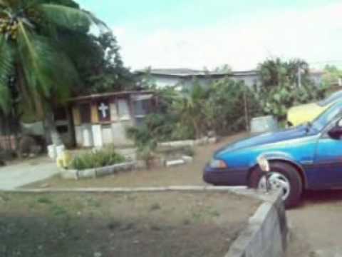 dushi korsou - rudy plaate (nos isla)