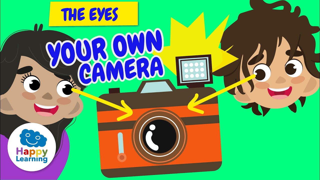 👁️ THE SIGHT: THE HUMAN BODY is incredible | Educational Videos for Children | @HappyLearningEN
