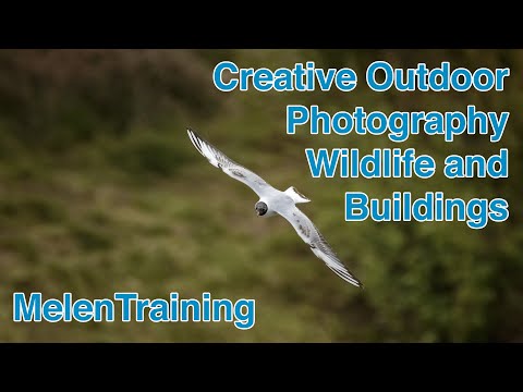Beginners Bird and Landscape Photography Tips