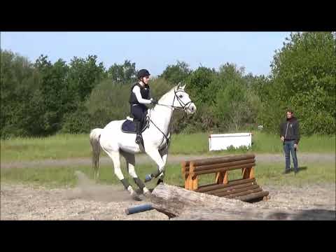 Cours de cross du 06/05/19 Marine & Ptilou / Elodie & Pénalen