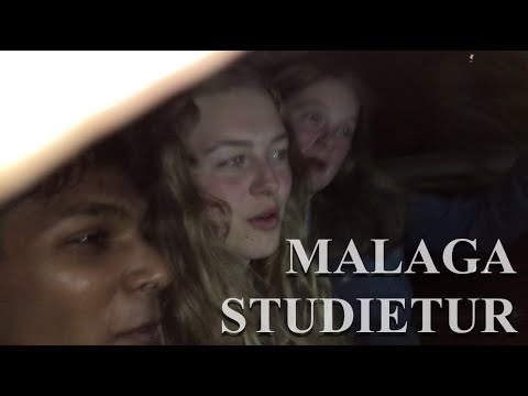 VI FESTER I SPANIEN ‖ MALAGA #3