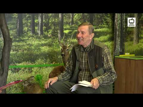 Szepty z Kniei - Gwara Myśliwska