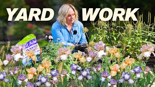 Moving Bearded Iris & Pruning a Smoke Bush into a Tree.