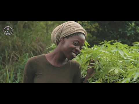 Hempress Divine - A Million Way | #TrackOfTheDAY