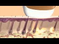 Sensica IPL-Haarentferner Sensilight Pro