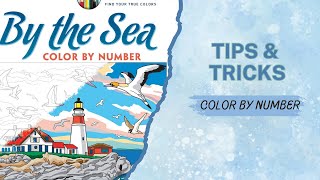 Color By Number Techniques