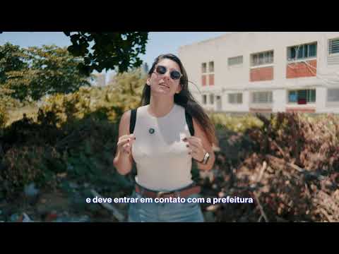 Terreno baldio tem que ser mantido limpo! Agora é lei