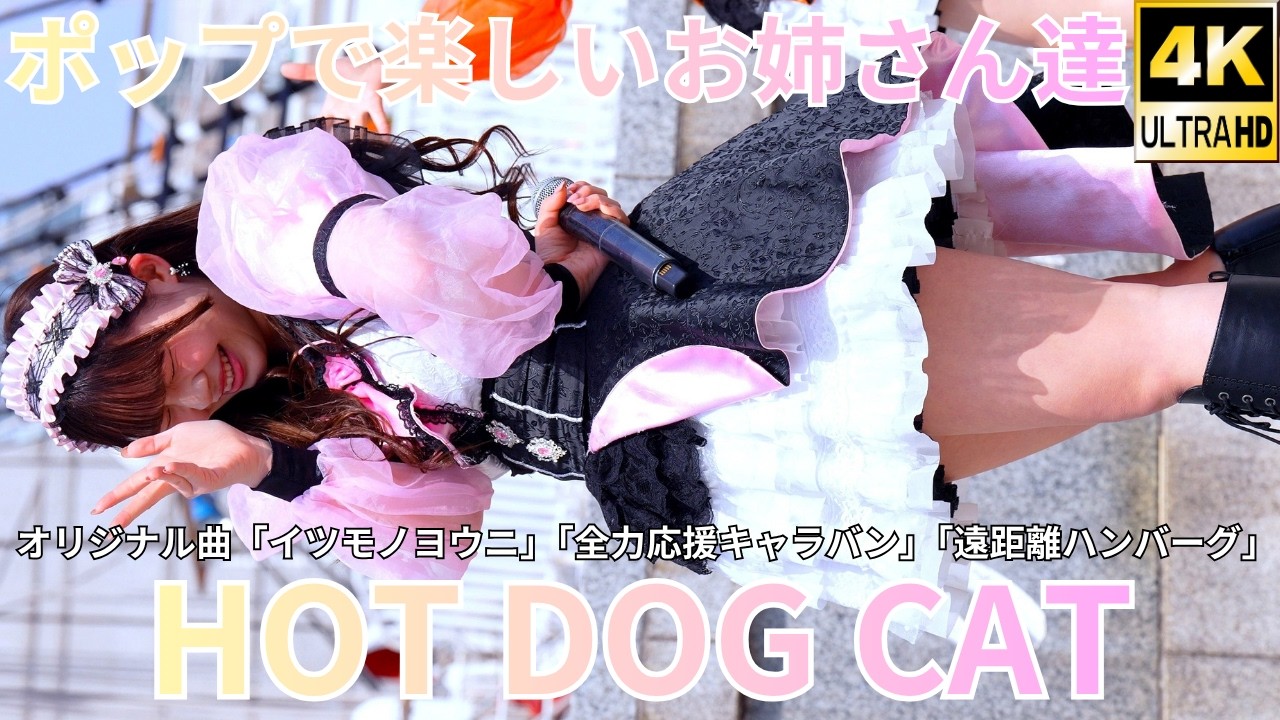①【4K/60p】HOT DOG CAT/ホットドッグキャット（Japanese idol group）『IDOL Treasure bottle LIVE』2026年3月22日（日）