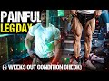 4 WEEKS OUT LOW ENERGY LEG DAY | CURRENT CONDITION | Prep Series Ep: 15