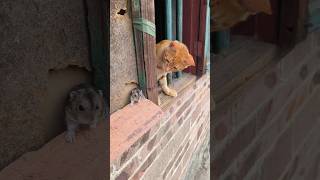 Download lagu A Few Moments Later #shorts mp3 Download lagu A Few Moments Later #shorts mp3