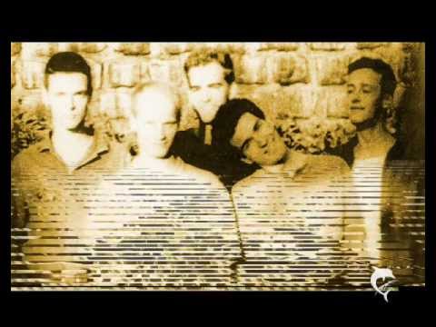 TORPEDO MAHLSDORF "Tim Reffke"