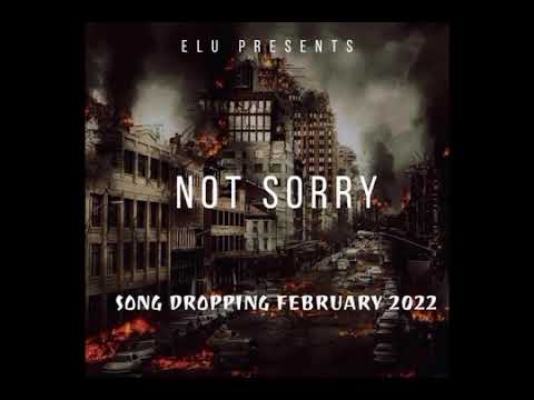 Not Sorry - Lil Elu