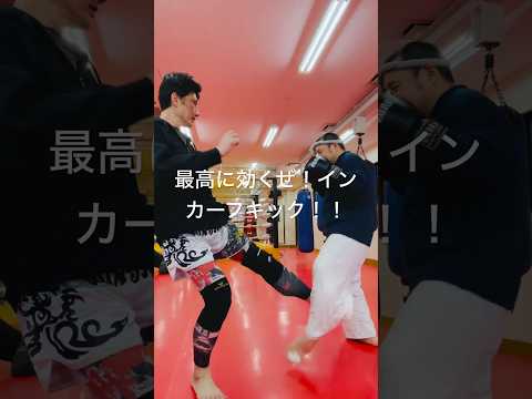 [キックボクシング　トレーニング　格闘技] 最高に効くぜ！　インカーフキック！　#キックボクシング #トレーニング #格闘技
