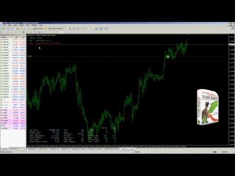 Forex advisor Trend Raptor, video example of trading.