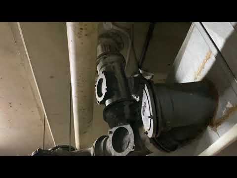 Neutral Bay 81 Military Road - 3 leaks in garage