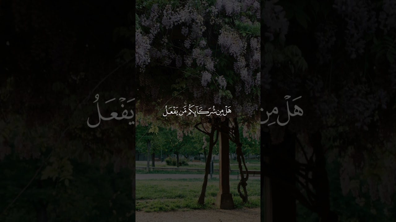 الل ه ال ذ ي خ ل ق ك م ث م