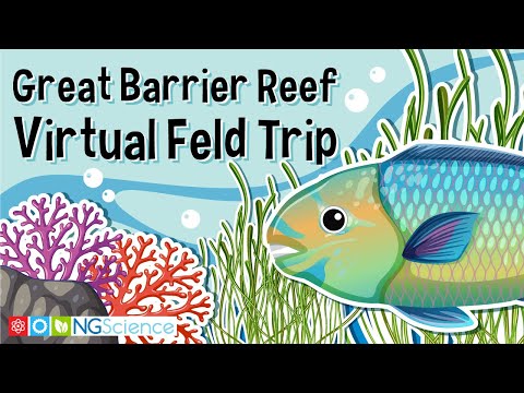 Great Barrier Reef – Virtual Feld Trip