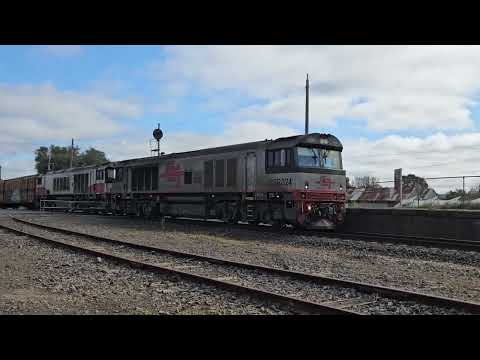 2PM9 SCT "Grey Ghost" freighter, Forrestfield WA to Laverton VIC, 1017, 13/9/24, Stawell VIC