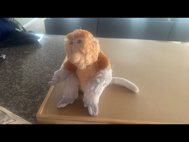 Vídeo relacionado con Wild Republic - Hanging Monkey, mono de peluche gibón, 51 cm (15259)