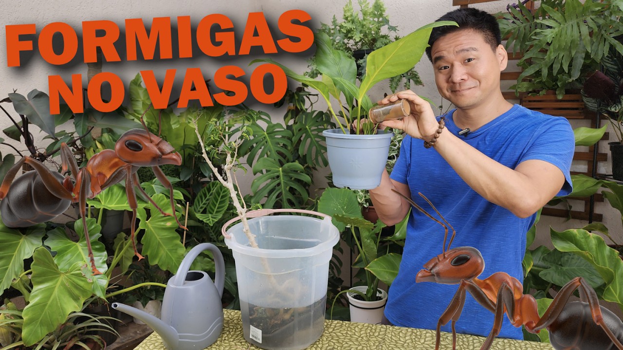 Acabe com as FORMIGAS em vasos.