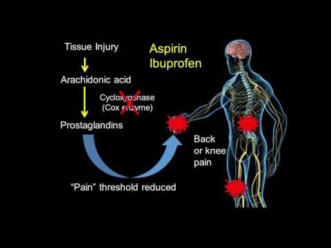 The Neuroscience of Pain: Translating Science to the Patient