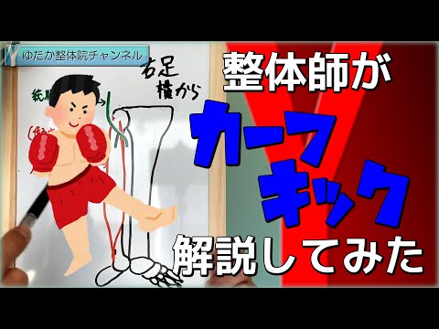 整体師がカーフキック解説してみた