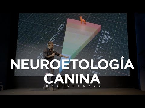 Neuroetología Canina