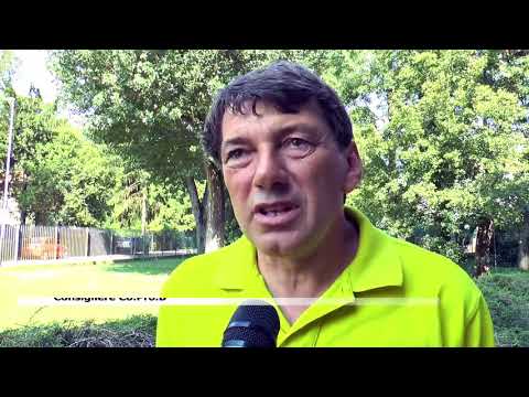 PATTO PER LO ZUCCHERO