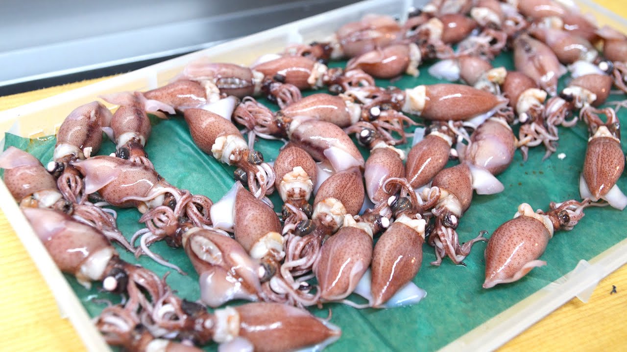 寿司職人によるホタルイカの仕込みから握りまで〜How To Make Firefly squid Sushi〜