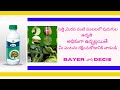 Bayer Decis 100 Insecticide