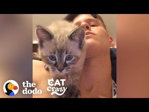 Cat Is So Clingy With His Dad | The Dodo Cat Crazy - YouTube