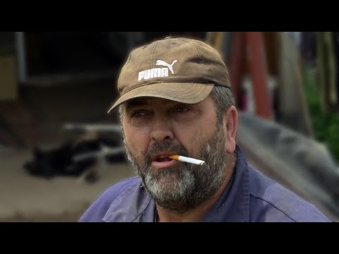 Mi sve radimo samo da ne radimo