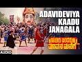 Adavideviya Kaadu Janagala Audio Song Rayaru Bandaru Mavana Manege Vishnuvardhan Dolly Minhas