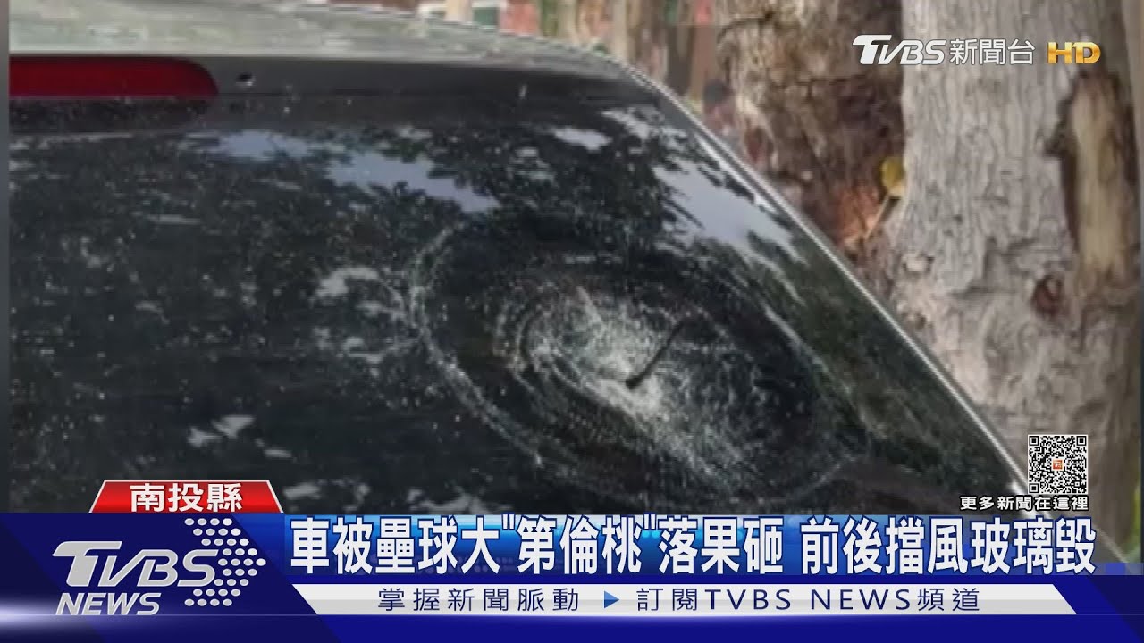 車被壘球大「第倫桃」落果砸 前後擋風玻璃毀