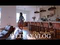 WEEKLY VLOG Out With The Old Pool Days Wayfair Did They Big One