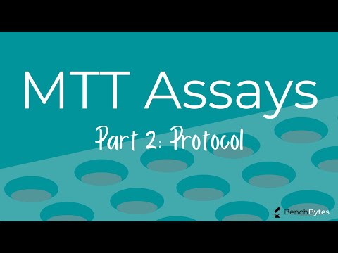 MTT Assays: Part 2 - Protocol