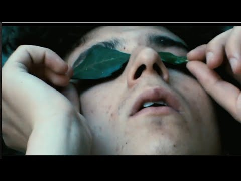 video frame placeholder