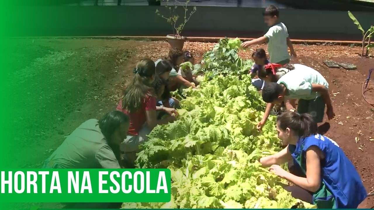 Horta na Escola