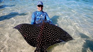 Food Chain Fishing Challenge 2 - Tiny Crabs to Giant Eagle Ray