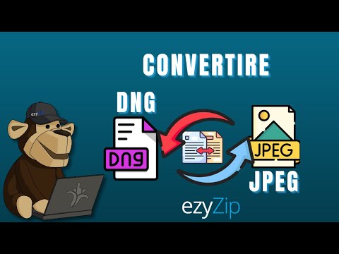 Come Convertire DNG in JPEG in Pochi Secondi!