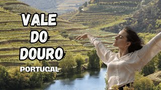 Vale do Douro: Vinhos, Natureza e Roteiros Inesquecíveis em Portugal 🍷🇵🇹