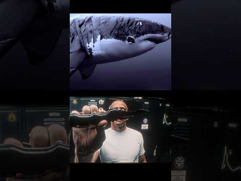 Dolphin pet 🐬 vs Warrior shark 🦈