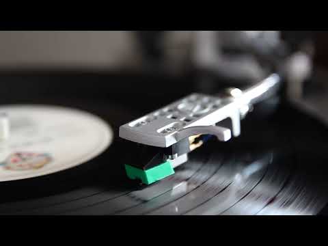 "Surfin' Bird" The Trashmen (1963) on vinyl LP