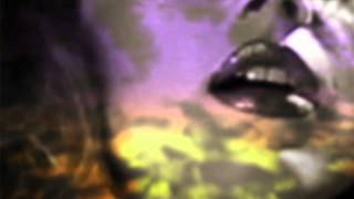 Bryan Ferry &quot;Shameless&quot;