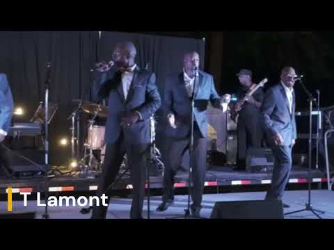 The Mockingbirds Live